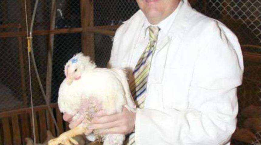 Prof. Dr. Kutlu: T&uuml;rkiye'de Organik Ve Hormonlu Tavuk Eti Yok