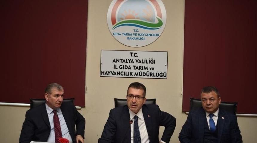 Antalya Tarımı Masaya Yatırıldı