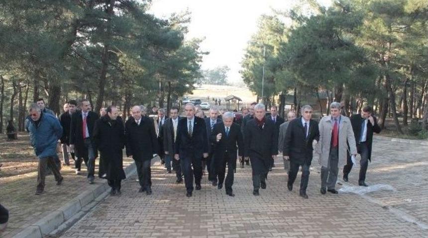 Kent Ormanı Sil Baştan