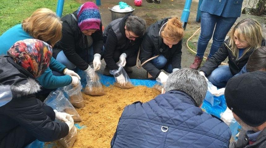 İstiridye Mantarına İlgi Artıyor