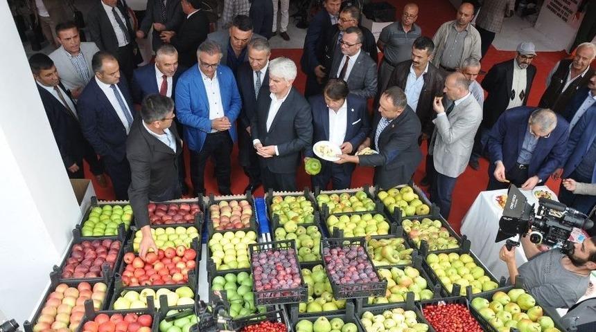 İneg&ouml;l Tarımı Mobilya İle Yarışıyor