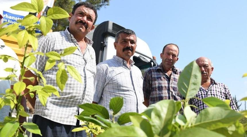 Mersin&rsquo;de Belediyeden &Uuml;reticiye Tropik Destek