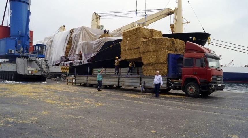 9 Bin Ton Saman İthalatı Başladı, İlk &Uuml;r&uuml;nler İzmir&rsquo;e Geldi