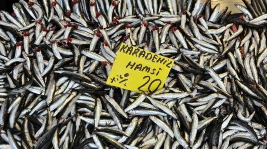 Kestane Karası Fırtınası Balık Fiyatlarını Artırdı