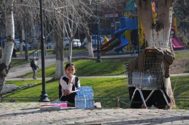 Parkta Hem Su Satıyor, Hem Derslerine Çalışıyor