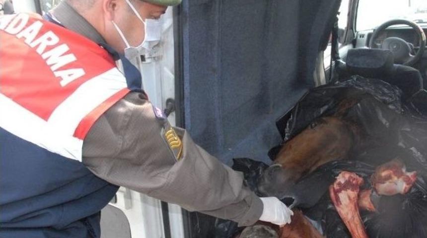 At Hırsızları Hem At&ccedil;ıları Hem De Vatandaşları Korkutuyor