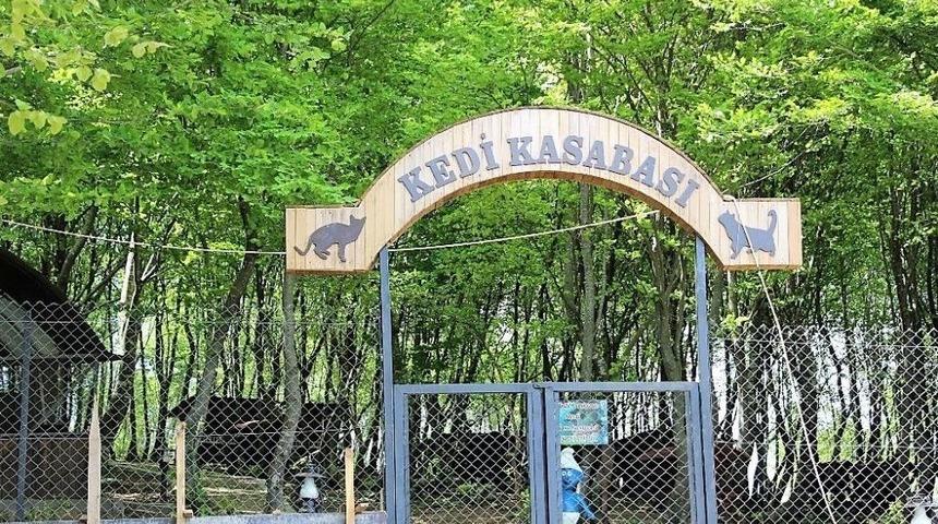 Hayvanlar G&uuml;n&uuml; İ&ccedil;in Anlamlı Etkinlik