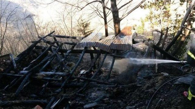 Ordu’da Samanlık Yangını Korkuttu