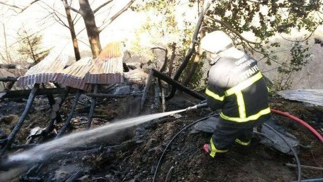 Ordu’da Samanlık Yangını Korkuttu