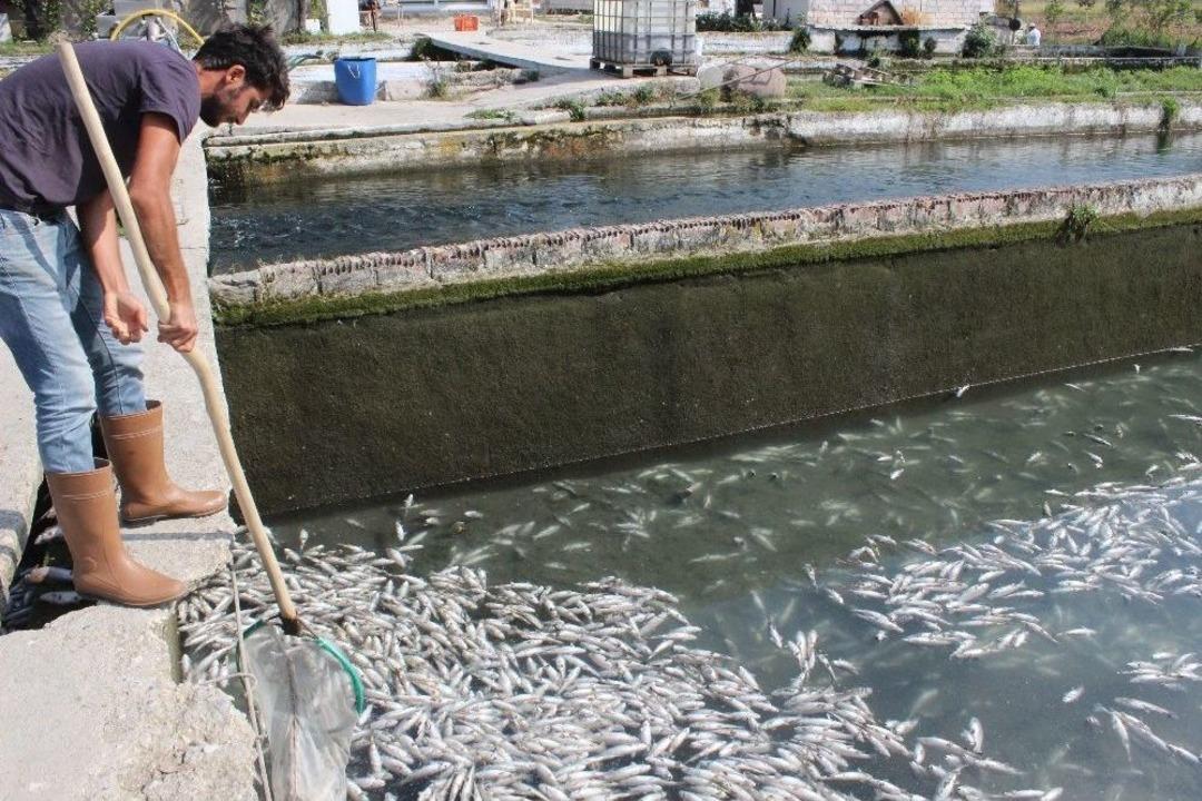 Havuzdaki Su Biranda Kahverengine D&ouml;nd&uuml;, Zarar 130 Bin Tl