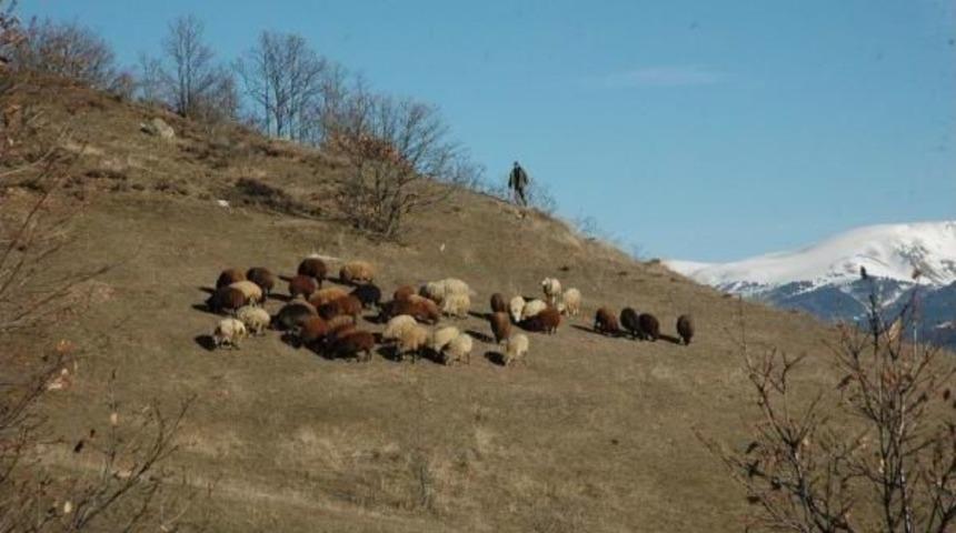 Iğdır Ve Posof'ta Bahar Havası