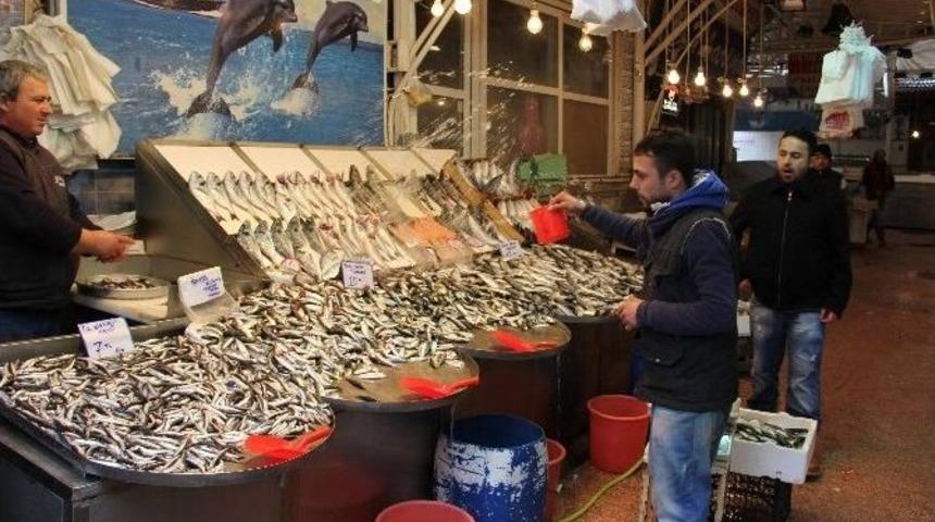 Marmara&rsquo;da Lodos Balık&ccedil;ıları Da Vurdu