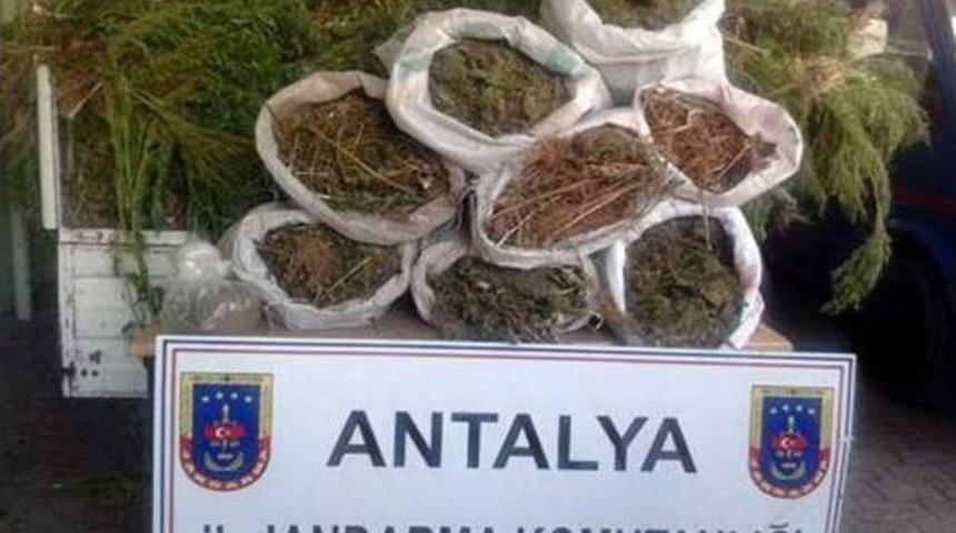 Jandarmadan Bir Yıllık Narkotik Operasyon Raporu