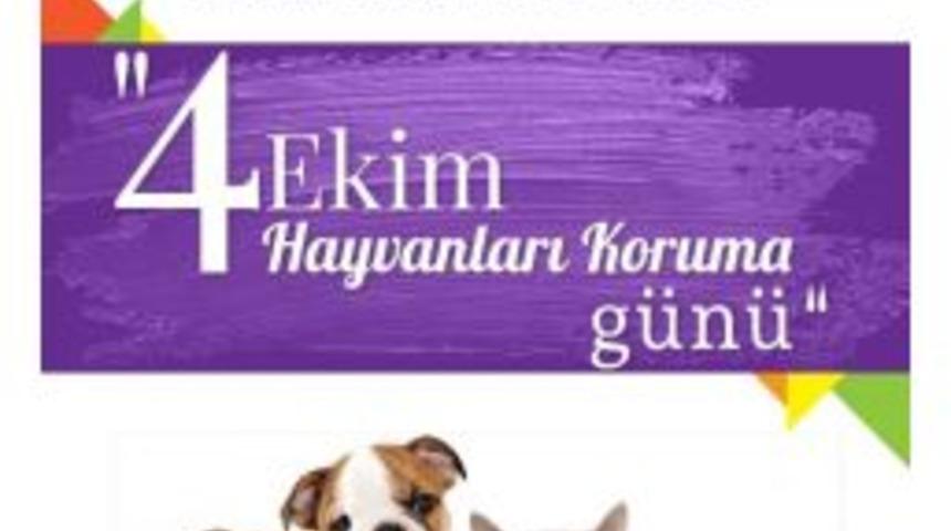 Hayvan Koruma G&uuml;n&uuml; Etkinliklerle Kutlanacak