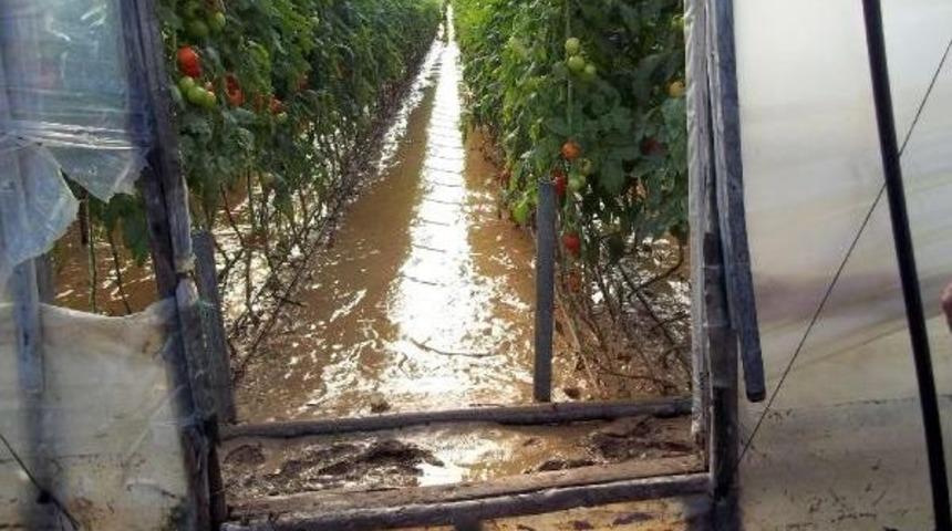 Fırtına Ve Selin Bilan&ccedil;osu 15 Milyon Lira