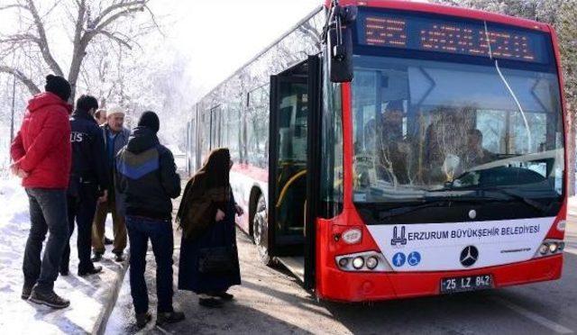 Ücretsiz Ulaşım Kartına El Konulunca Şoförü Tartakladı