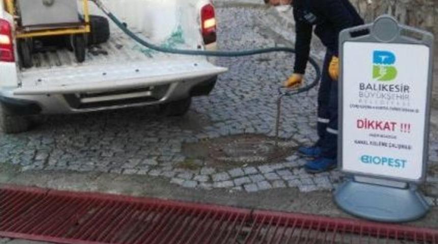 Burhaniye&rsquo;de 55 Bin Haşere Kaynağı İla&ccedil;landı