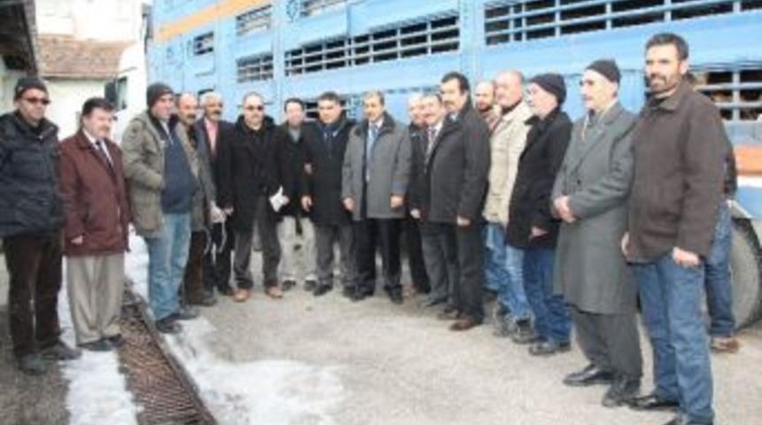 Elazığ&rsquo;da 20 Yetiştiriciye Damızlık Boğa Dağıtıldı