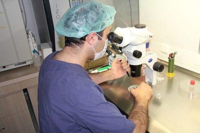 23 Yıl Sonra T&uuml;p Bebek Y&ouml;ntemiyle Hamile Kaldı 1