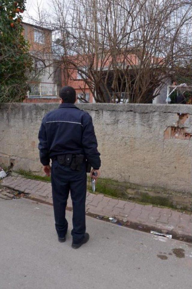 Duvardan Atlayan Köpek Sokakta Yürüyen Kadını Isırdı