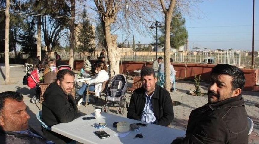 Ceylanpınar&rsquo;a Bahar Erken Geldi