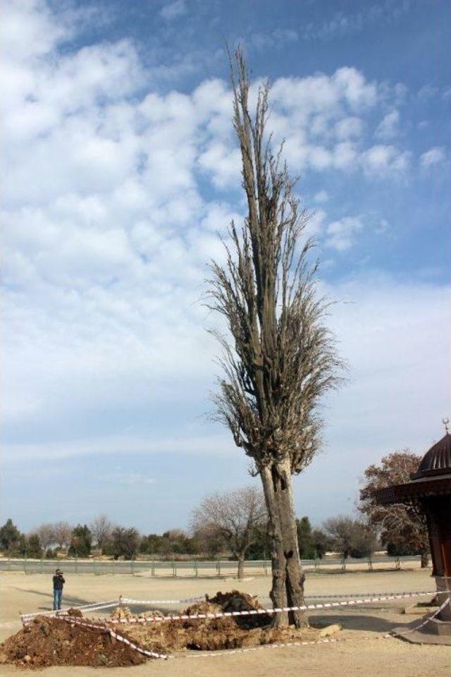 Mezarlıkta Kep&ccedil;eyle Kazı Yapan 9 Kişi Tutuklandı 2