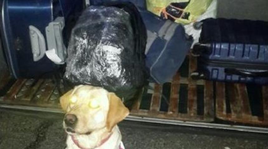 Yolcu Otob&uuml;s&uuml;nde 15 Kilo Esrara 2 Kadın Yakalandı