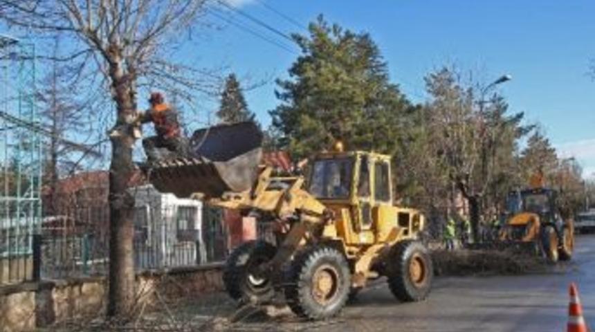B&uuml;y&uuml;kşehir Belediyesi Ağa&ccedil;ları Bahara Hazırlıyor