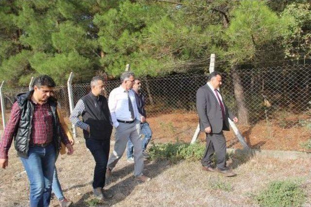 Uludağ Üniversitesi Geyiklerine Köpekler Saldırdı: 3 Geyik  Telef Oldu