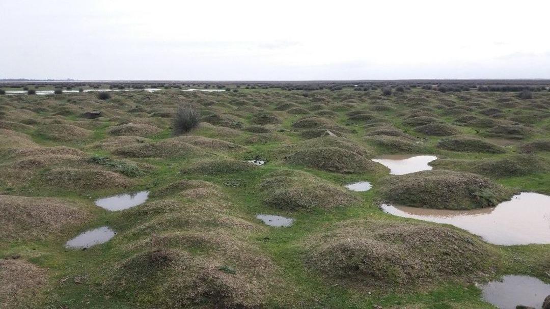 Ak Partili Ceylan: "t&uuml;rkiye&rsquo;de Van G&ouml;l&uuml; Kadar Bir Sulak Alan 1950 Yılından Sonra Yok Edildi"