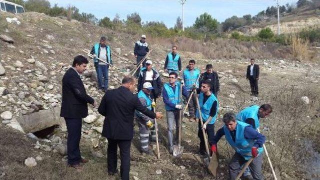 Mahsur Kalan Binlerce Balık Kurtarıldı