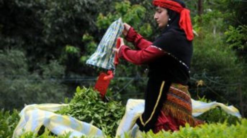 Organik Yaş &Ccedil;ay Destekleme Primleri &Ouml;dendi
