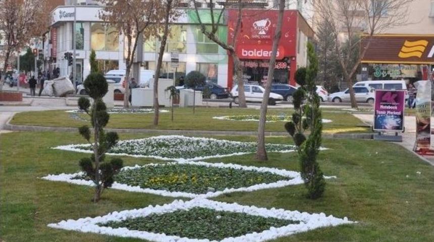 B&uuml;y&uuml;kşehir Belediyesi&rsquo;nin &Ccedil;i&ccedil;ek Dikim &Ccedil;alışmaları