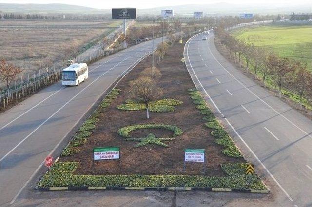 Büyükşehir Belediyesi’nin Çiçek Dikim Çalışmaları 1
