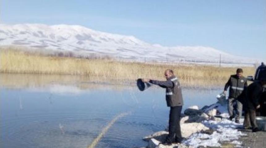 2 Şubat D&uuml;nya Sulak Alanlar G&uuml;n&uuml;