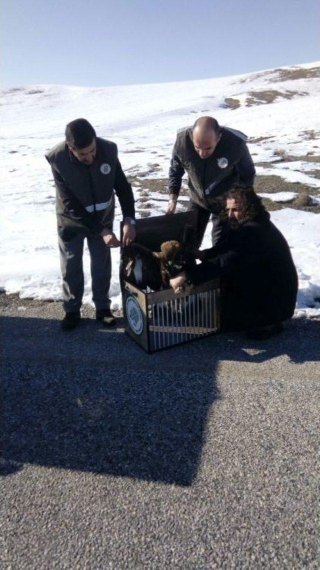 2 Şubat Dünya Sulak Alanlar Günü