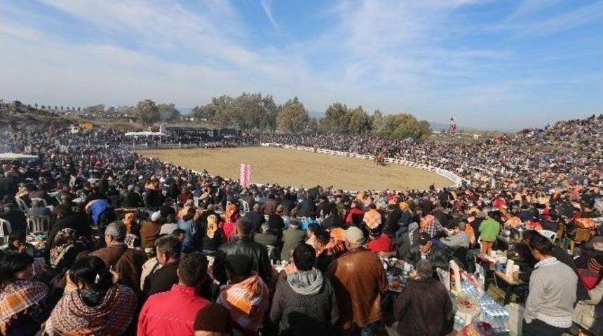 Deve G&uuml;reşlerini 20 Bin Seyirci İzledi