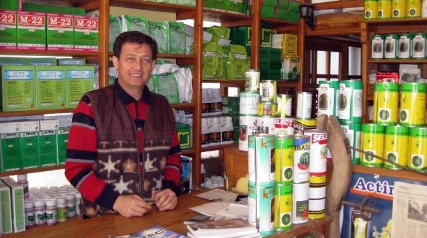 Soğuk Hava Patatesi Vurdu Tonlarca Patates Tarlada Kaldı