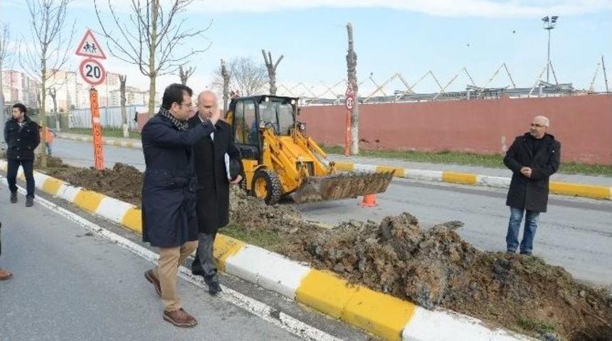 Beylikdüzü Baştan Sona Ağaçlandırılıyor