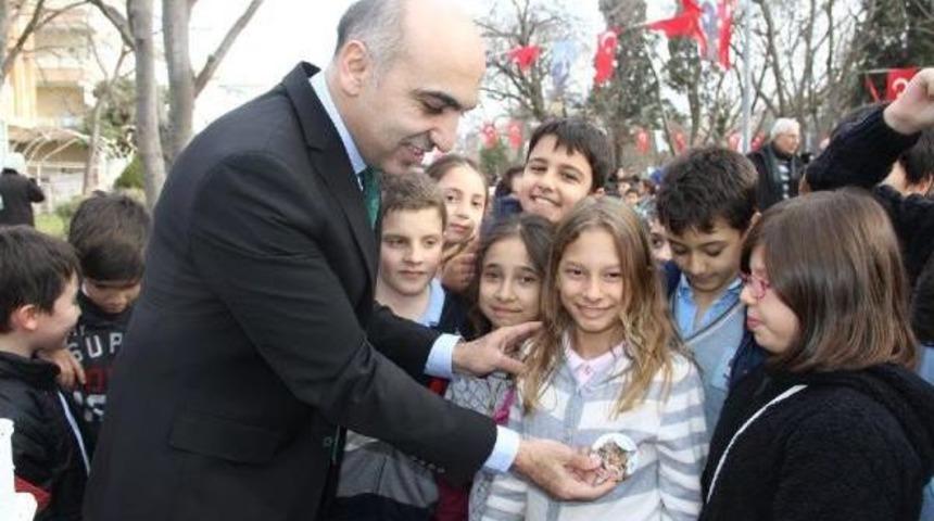 Bakırk&ouml;y'de "mahalle Kedi Parkı" A&ccedil;ıldı