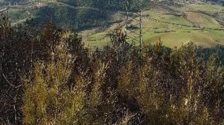 Yedaş&rsquo;tan &lsquo;yangın&rsquo; A&ccedil;ıklaması