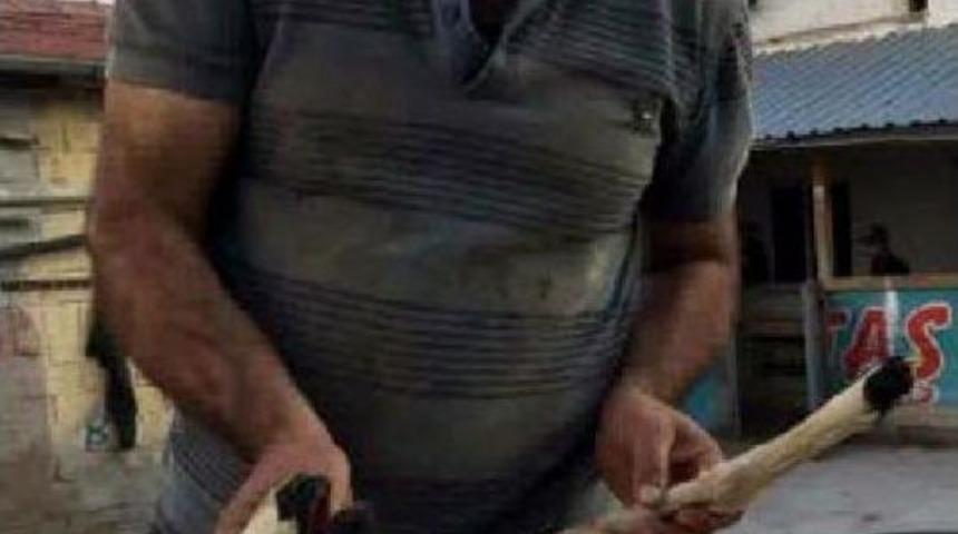 &Ccedil;ift Başlı Doğan Kuzu 15 Dakika Yaşayabildi