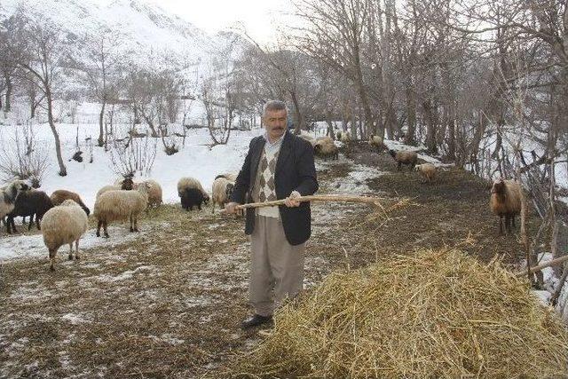 Hakkarili Çiftçilerin Kuraklık Korkusu