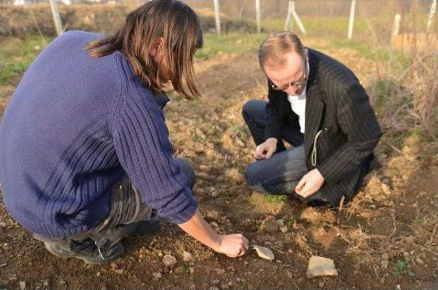 Tütün Ekili Arkeolojik Sit Alanında Çalışma Başlatıldı