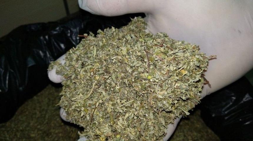 Feribotta Yakalanan Zehir Taciri Tutuklandı