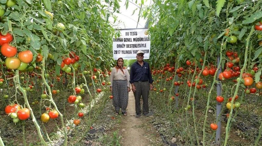 Orman K&ouml;yl&uuml;lerine Sera Desteği