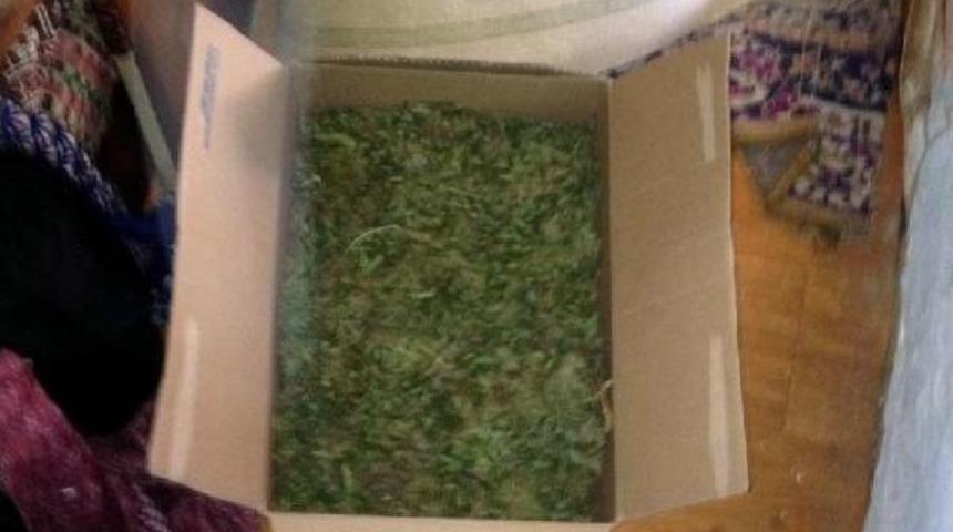 D&uuml;zce'de 1.5 Kilo Esrara 2 G&ouml;zaltı