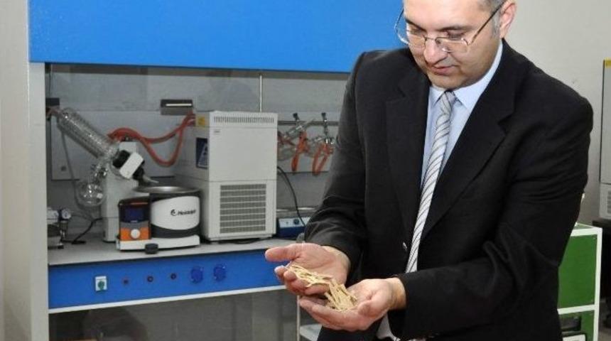 Ne&uuml; Gıda M&uuml;hendisliği B&ouml;l&uuml;m&uuml;nden Sağlıklı Proje