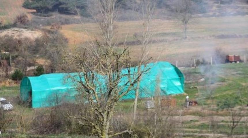 Ak Partili Babuşcu Şimdi De Osmanlı Lalesi Ile G&uuml;ndemde