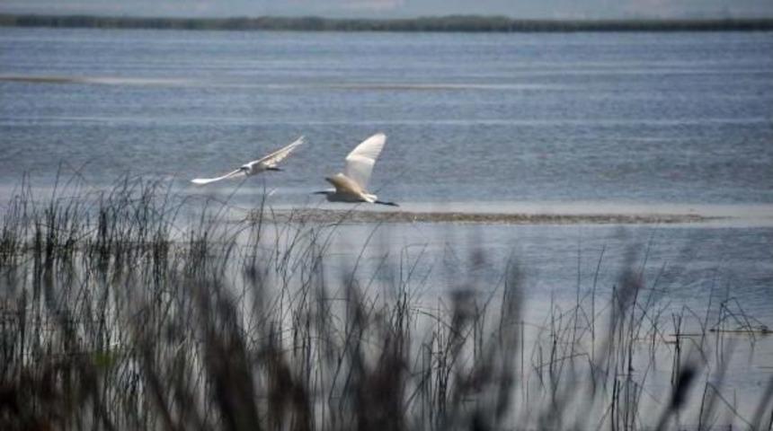 D&uuml;nya Mirası'na Aday Cennette Piknik Yapılmasına Tepki